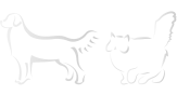 gato-cachorro-01