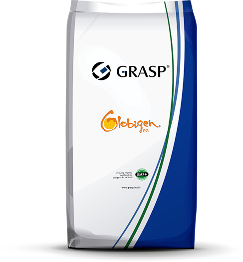 GLOBIGEN_PG_BAG_V04_high