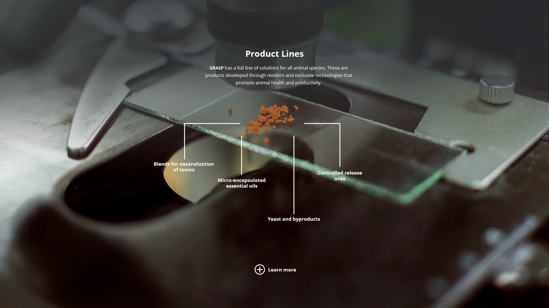 Linha de Produtos EN